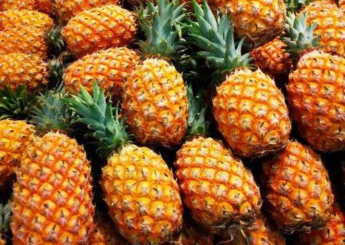 菠萝不吃鱼爆料视频,视频爆料背后的惊人真相