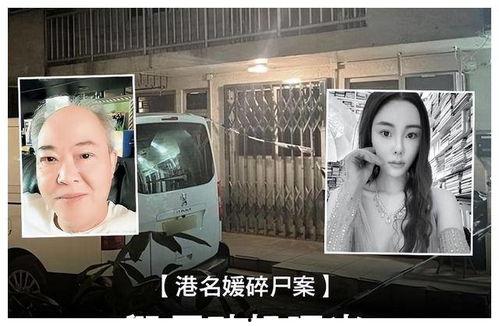 蔡天凤最新爆料,揭秘事件背后惊人真相